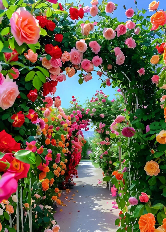 🪴𝗠𝗜𝗫𝗘𝗗 𝗖𝗢𝗟𝗢𝗥 𝗖𝗟𝗜𝗠𝗕𝗜𝗡𝗚 𝗥𝗢𝗦𝗘 𝗦𝗘𝗘𝗗𝗦 – 𝗘𝗟𝗘𝗚𝗔𝗡𝗧 & 𝗙𝗔𝗦𝗧 𝗚𝗥𝗢𝗪𝗜𝗡𝗚
